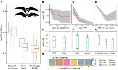 Seabird Trophic Position Across Three Ocean Regions Tracks Ecosystem Differences